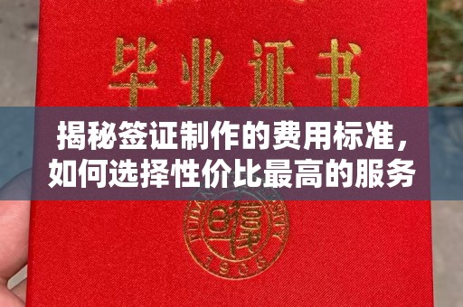 蓝山揭秘签证制作的费用标准，如何选择性价比最高的服务？