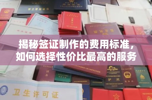 仙游揭秘签证制作的费用标准，如何选择性价比最高的服务？