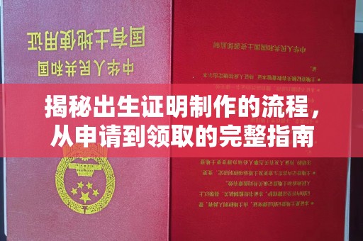 七美揭秘出生证明制作的流程，从申请到领取的完整指南