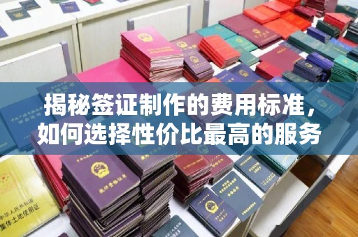 顺庆揭秘签证制作的费用标准，如何选择性价比最高的服务？