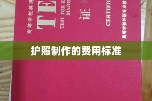 定结护照制作的费用标准
