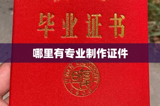 静安哪里有专业制作证件